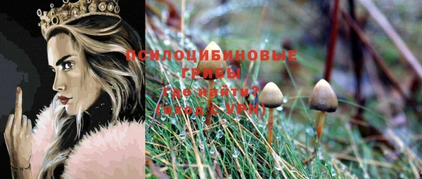 прущий лед Белокуриха