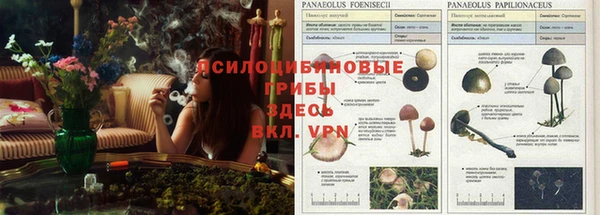 мяу мяу мука Беломорск