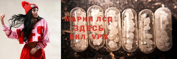 мяу мяу мука Беломорск